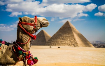 Pyramids, Saqqara And Memphis